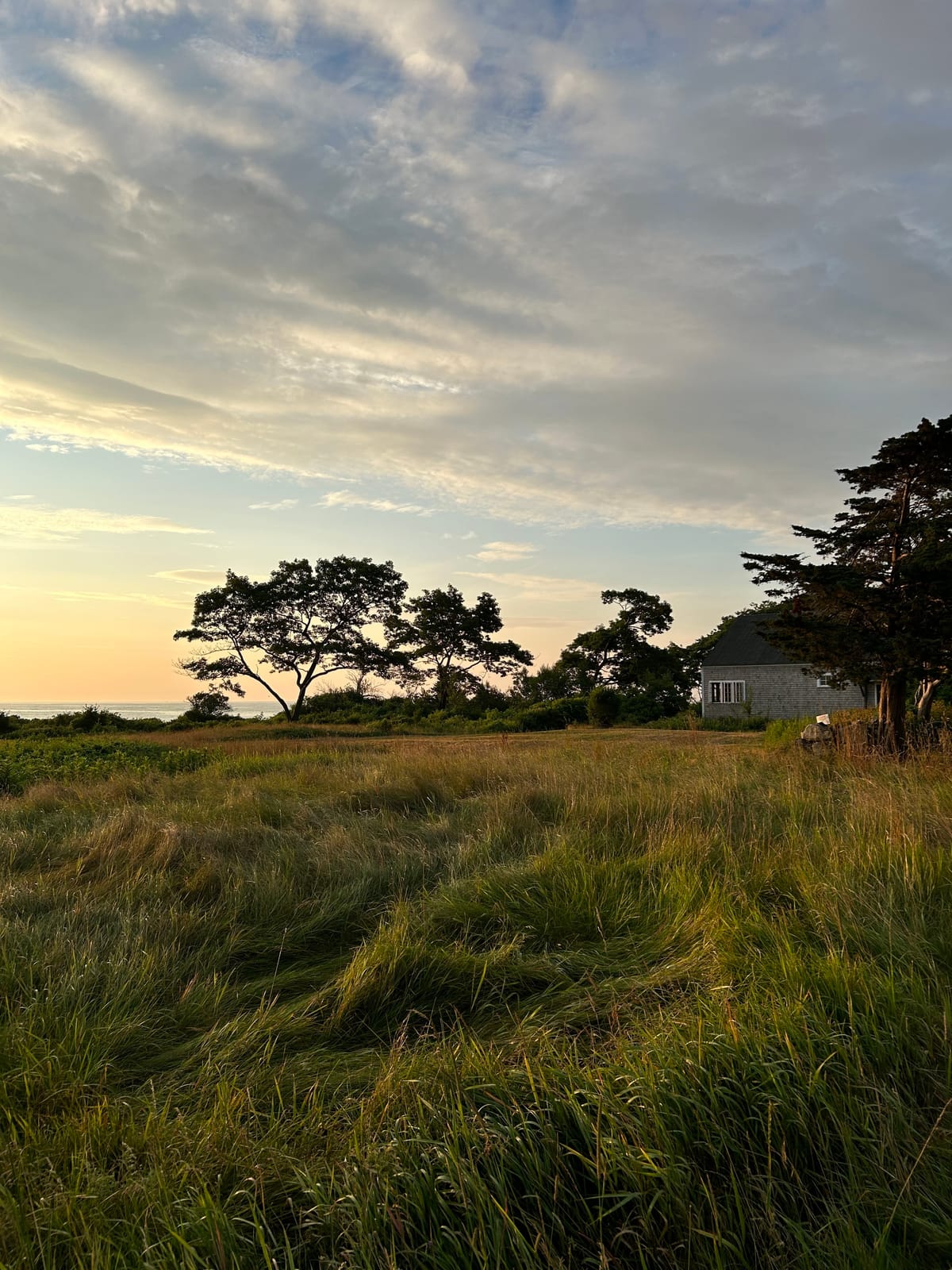 Maine in Summer