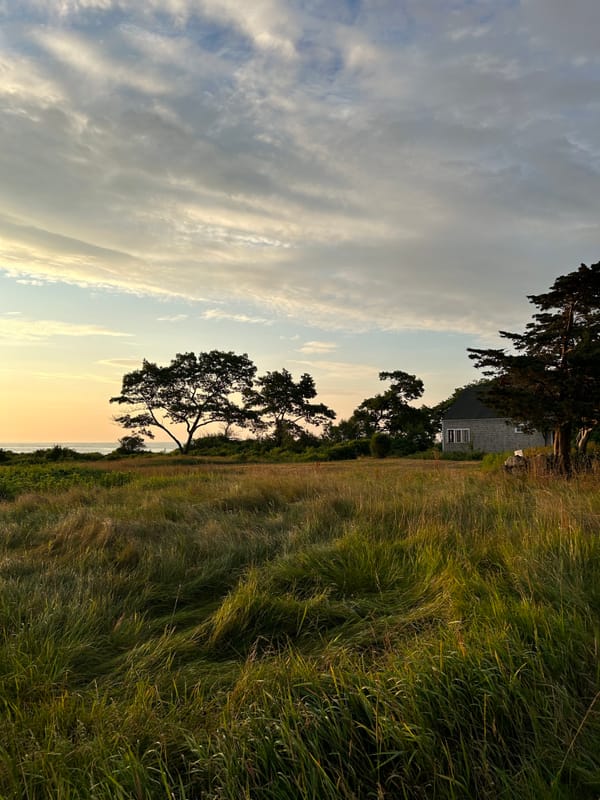 Maine in Summer
