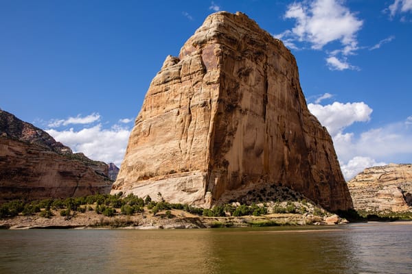 Return to the Heart of the Desert